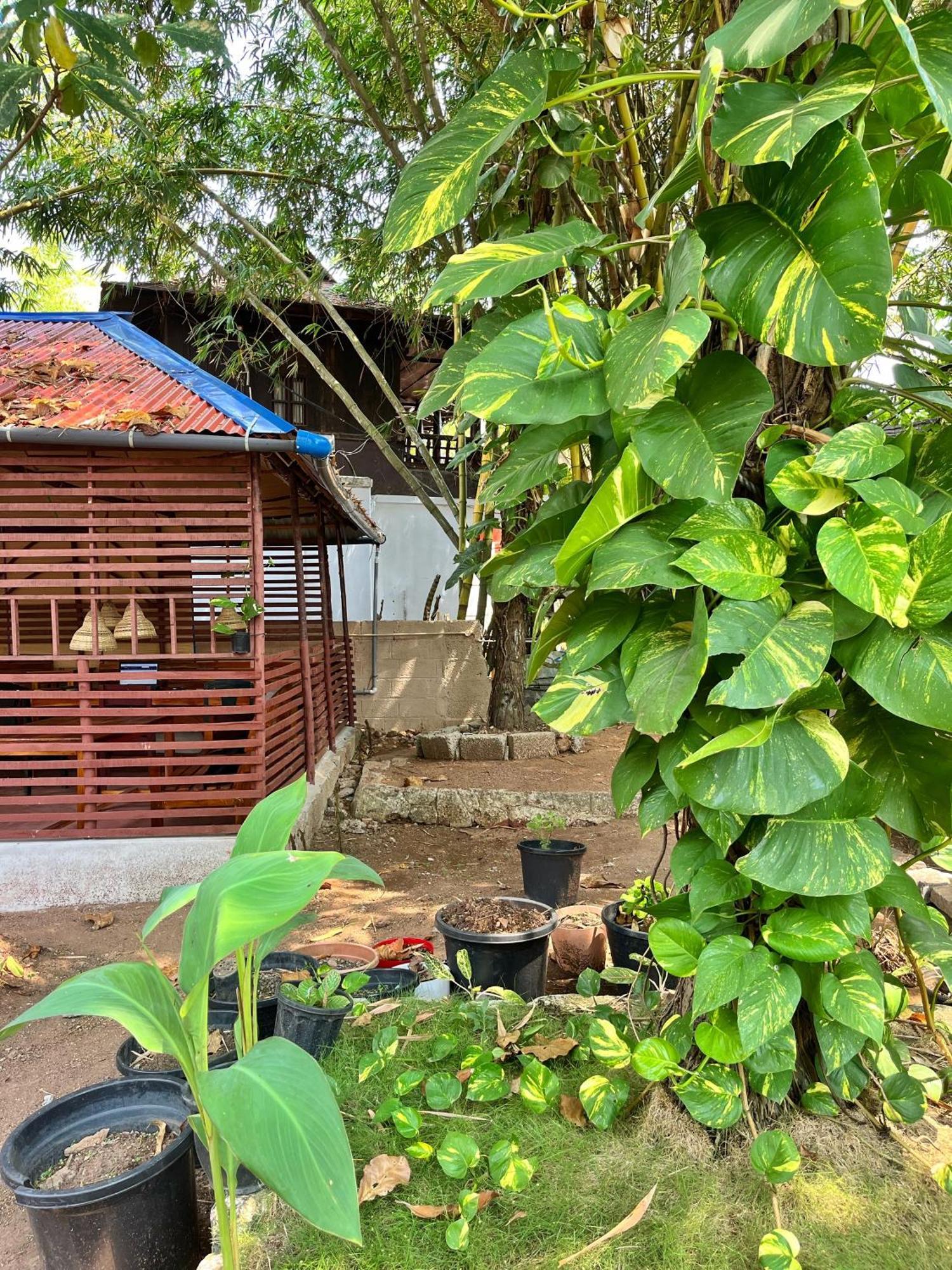 Bava Beach Resort & Retreat Center Varkala Eksteriør bilde