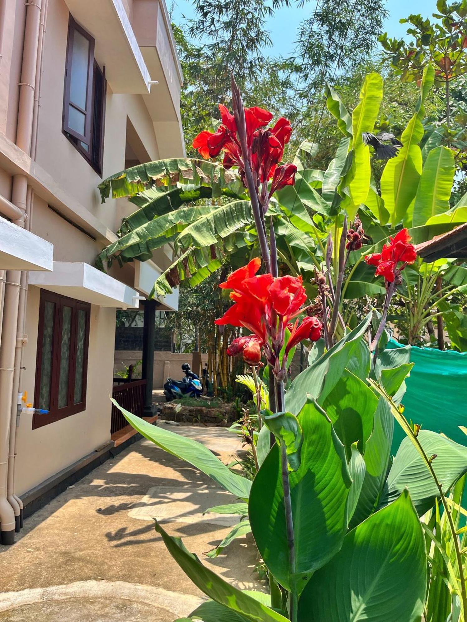 Bava Beach Resort & Retreat Center Varkala Eksteriør bilde